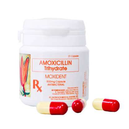 Moxident (Amoxicillin)